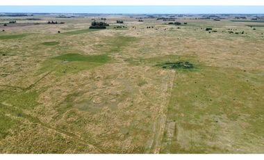 Campo de 377 Has en venta en San Vicente