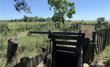 Campo de 377 Has en venta en San Vicente