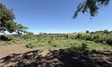 Campo de 377 Has en venta en San Vicente