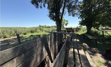 Campo de 377 Has en venta en San Vicente