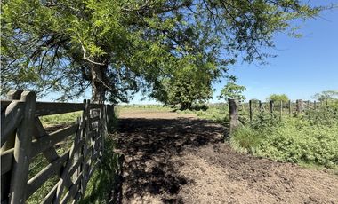 Campo de 377 Has en venta en San Vicente