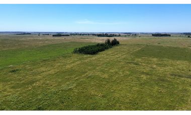 Campo de 377 Has en venta en San Vicente