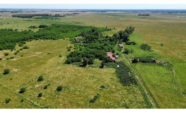 Campo de 377 Has en venta en San Vicente