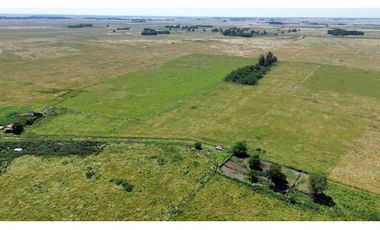 Campo de 377 Has en venta en San Vicente