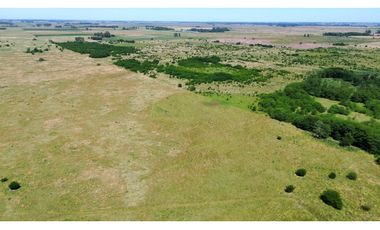 Campo de 377 Has en venta en San Vicente