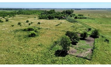 Campo de 377 Has en venta en San Vicente