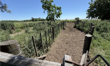 Campo de 377 Has en venta en San Vicente