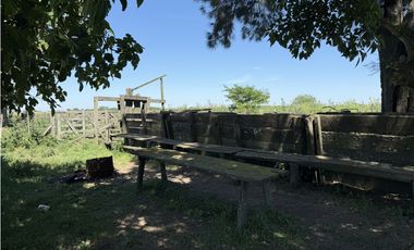 Campo de 377 Has en venta en San Vicente