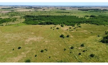 Campo de 377 Has en venta en San Vicente