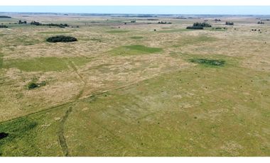 Campo de 377 Has en venta en San Vicente