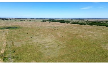 Campo de 377 Has en venta en San Vicente