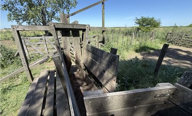 Campo de 377 Has en venta en San Vicente