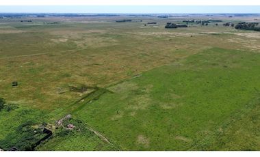 Campo de 377 Has en venta en San Vicente