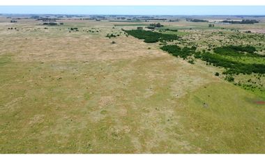 Campo de 377 Has en venta en San Vicente