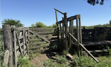 Campo de 377 Has en venta en San Vicente