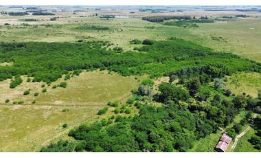 Campo de 377 Has en venta en San Vicente