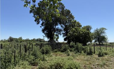 Campo de 377 Has en venta en San Vicente