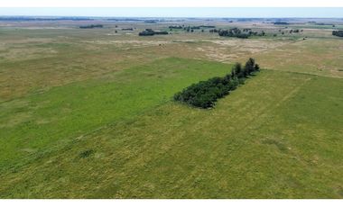 Campo de 377 Has en venta en San Vicente