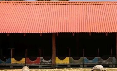 Parcela en Venta en PARCELA SANTA INÉS