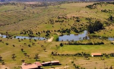 Parcela en Venta en PARCELA SANTA INÉS