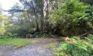 Parcela en Venta en Parcela esquina en Loteo La Colonia - Correntoso