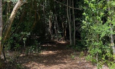 Parcela en Venta en Parcela esquina en Loteo La Colonia - Correntoso