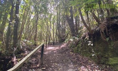 Parcela en Venta en Parcela esquina en Loteo La Colonia - Correntoso