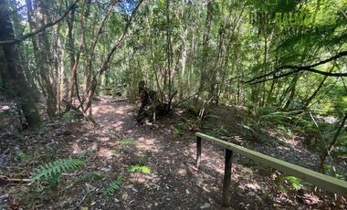 Parcela en Venta en Parcela esquina en Loteo La Colonia - Correntoso