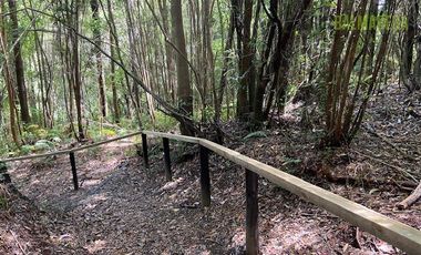 Parcela en Venta en Parcela esquina en Loteo La Colonia - Correntoso