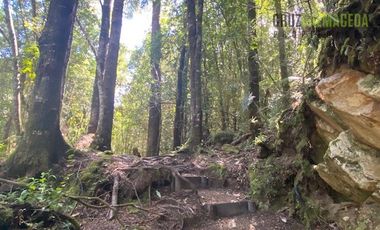 Parcela en Venta en Parcela esquina en Loteo La Colonia - Correntoso