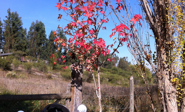 Parcela en venta  en MELIPILLA