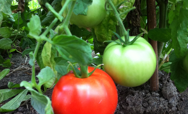 Parcela en venta  en MELIPILLA