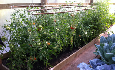 Parcela en venta  en MELIPILLA