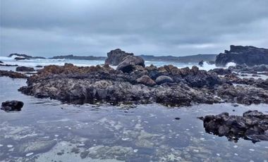 Parcela en venta en LOS VILOS