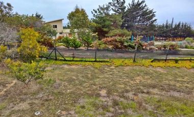 Parcela en venta en LOS VILOS