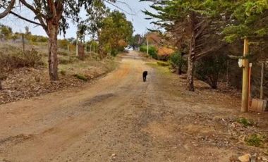 Parcela en venta en LOS VILOS