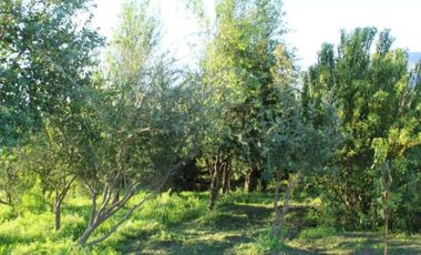 Parcela en venta  en MELIPILLA