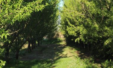 Parcela en venta  en MELIPILLA