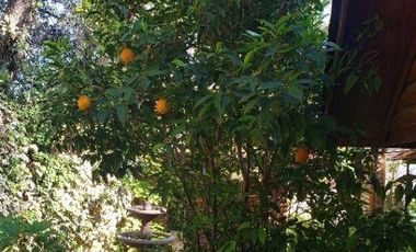 Casa en venta en PAINE