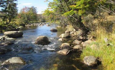 Casa en venta en COYHAIQUE