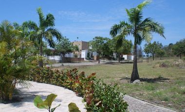 22316 DISFRUTA LA VIDA EN SOL DE OLON