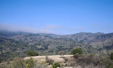 Parcela en venta en CURICÓ