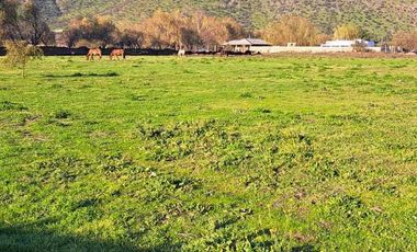 Parcela en venta en RANCAGUA