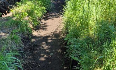 Parcela en venta en LOS ANGELES