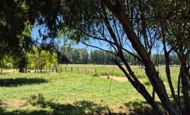 Parcela en venta en LOS ANGELES