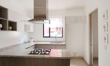 departamento con roof garden san miguel de allende