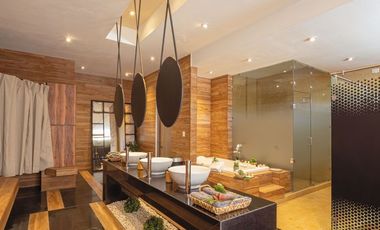 Penthouse en venta en La Serena San Miguel de Allende