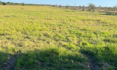 Parcela en venta en PARRAL