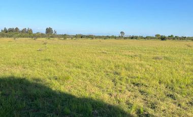 Parcela en venta en PARRAL