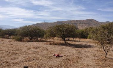 Vendo Terreno Industrial, Curacaví, Superficie 10.152 m2